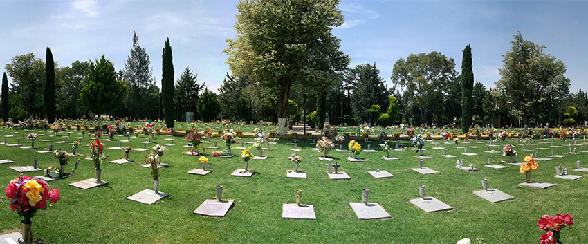 Jardin1